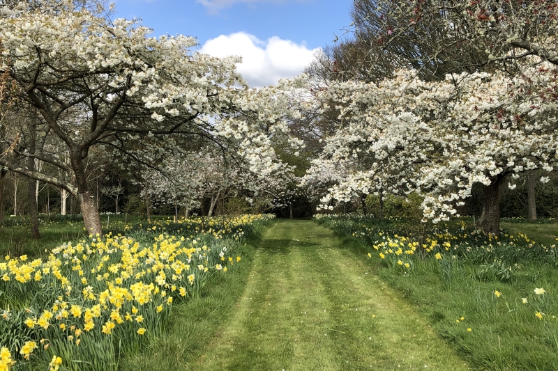 Lepe House Gardens